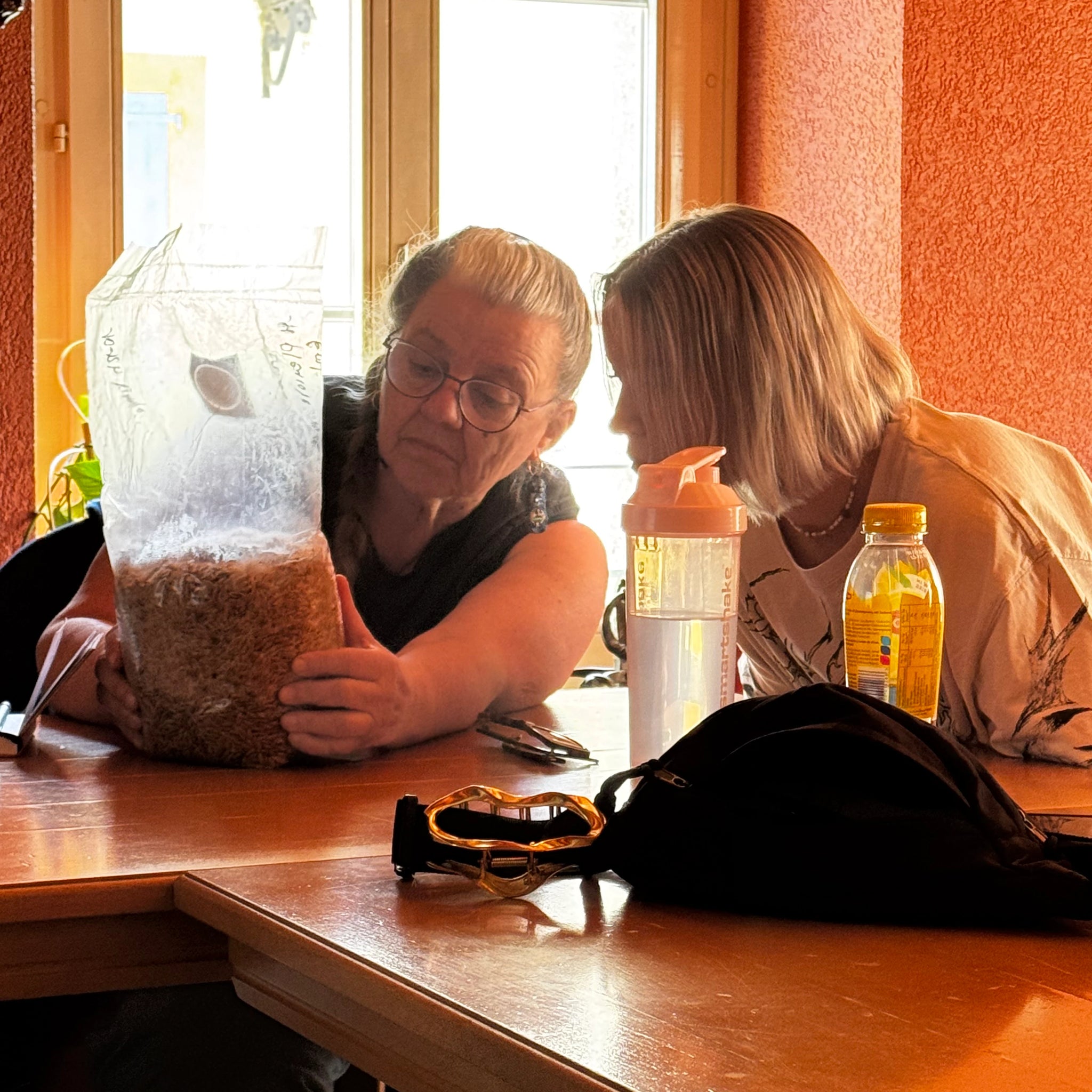 8 novembre 2025 - Atelier mycologie & culture de champignons - Estavayer‑le‑Lac