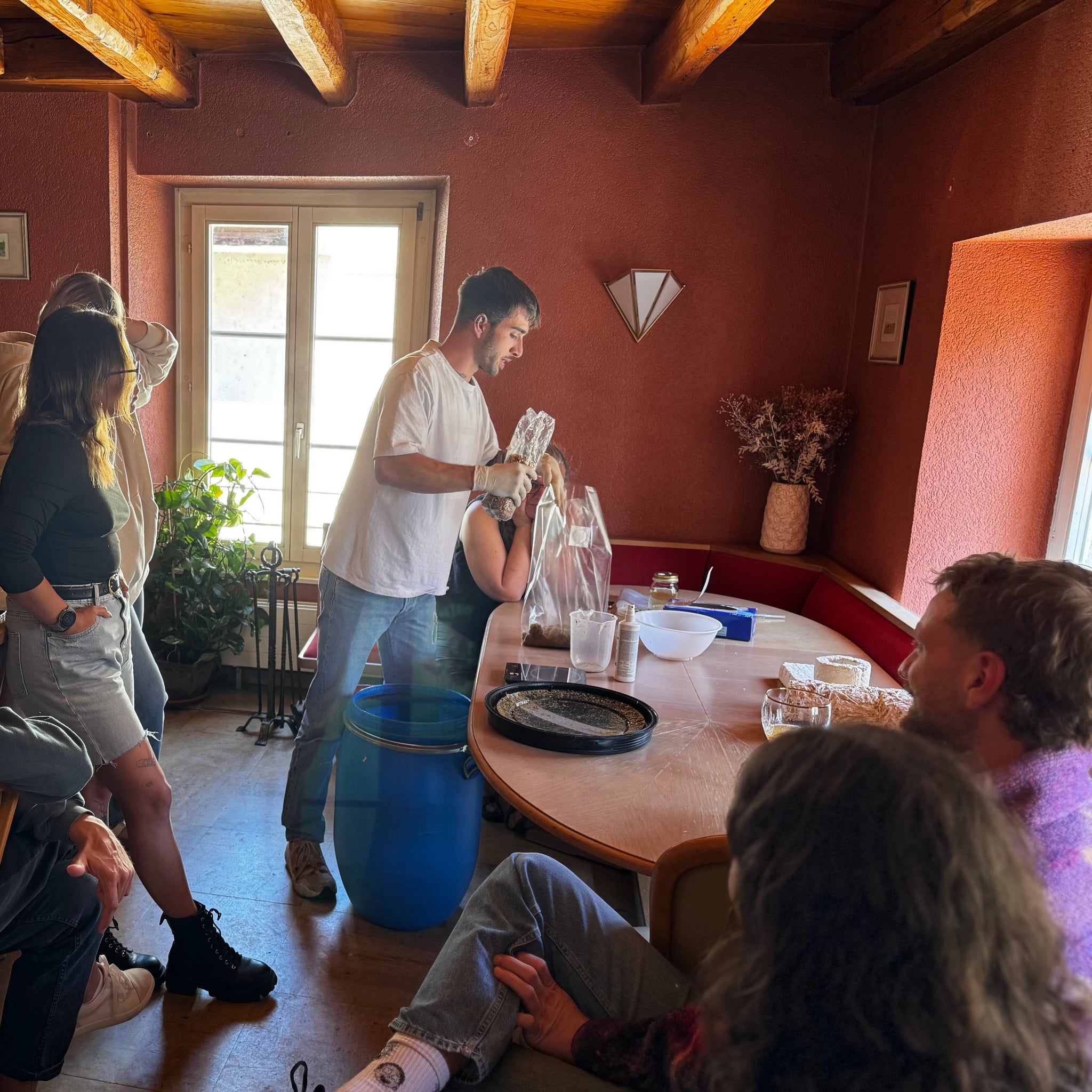 8 novembre 2025 - Atelier mycologie & culture de champignons - Estavayer‑le‑Lac