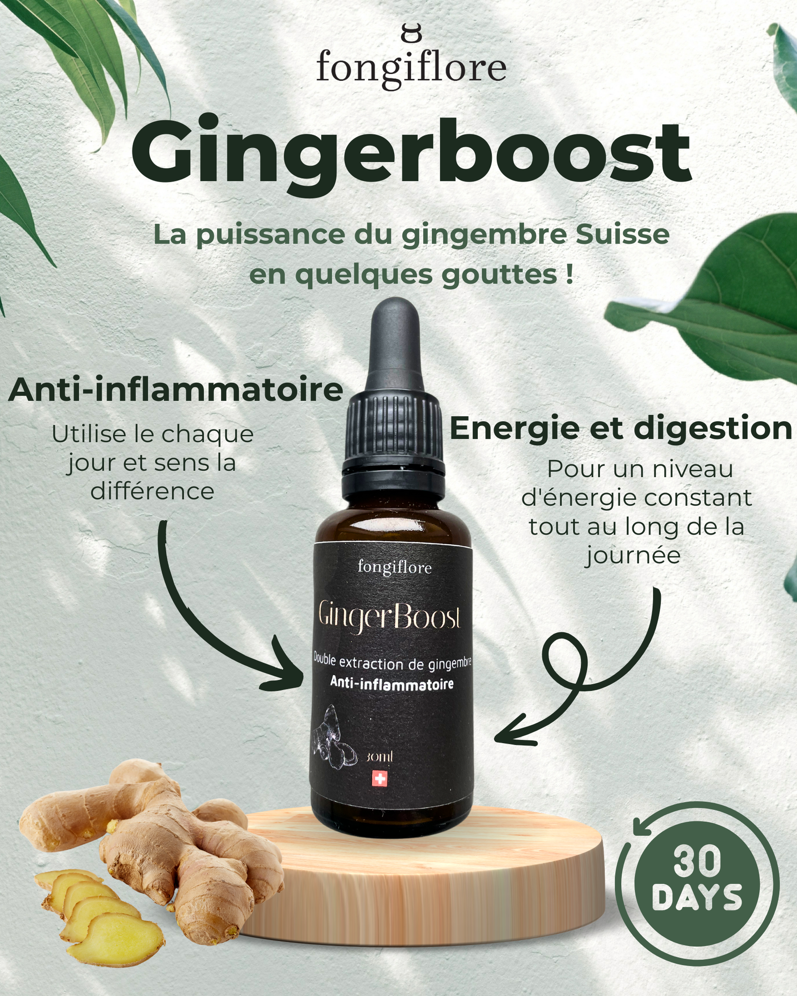 GingerBoost - Extrait de gingembre suisse concentré