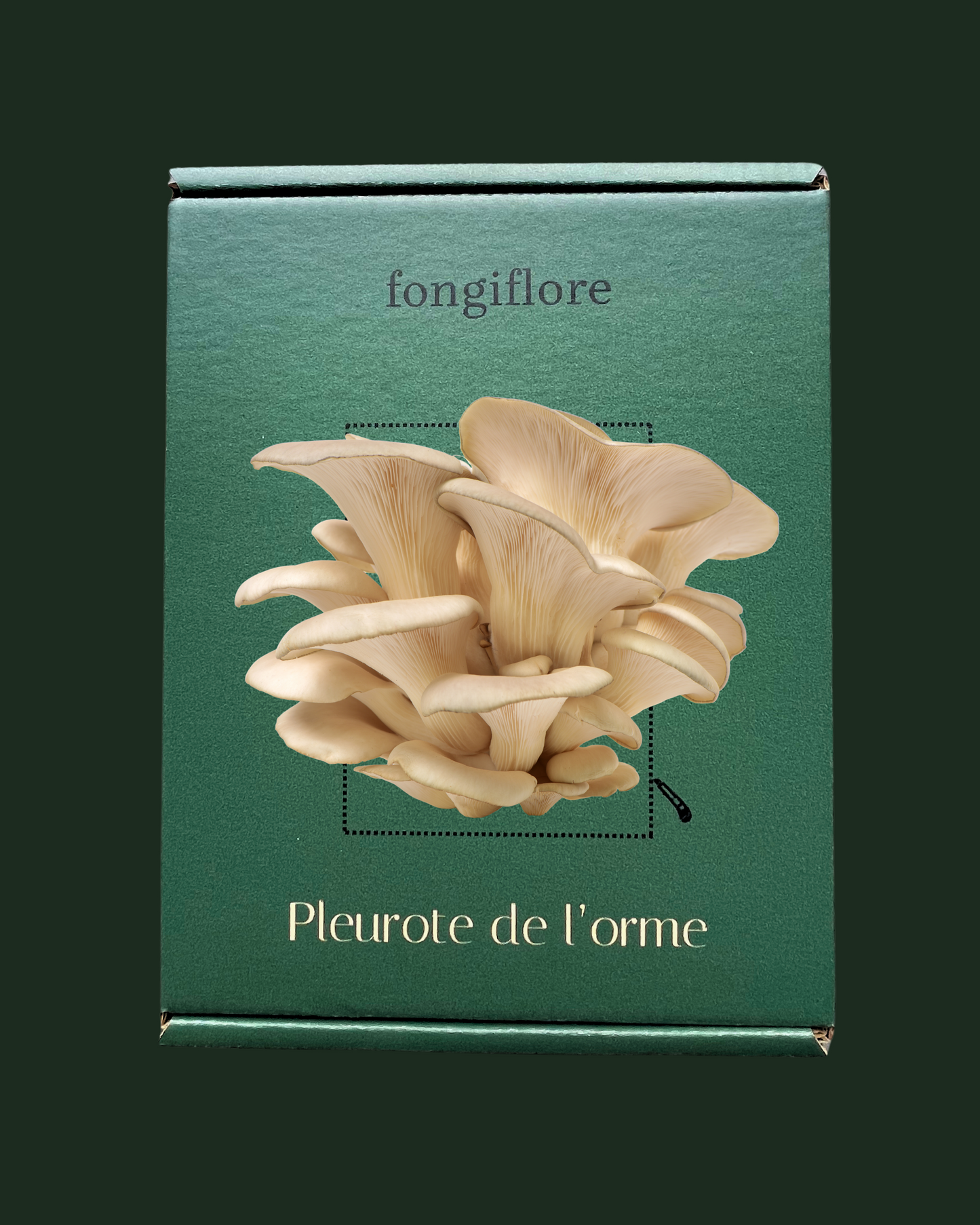 Kit Culture - Pleurotes de l'Orme