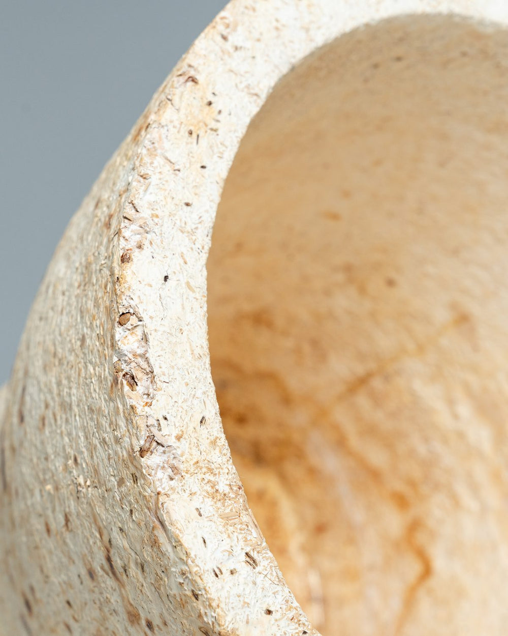 Étude en mycélium : bord d’un contenant à la texture fibreuse